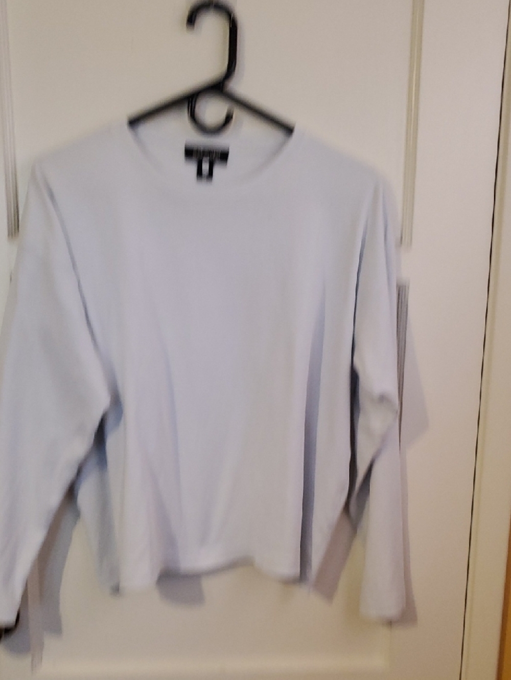 eskandar Pale Blue Crewneck Sweater